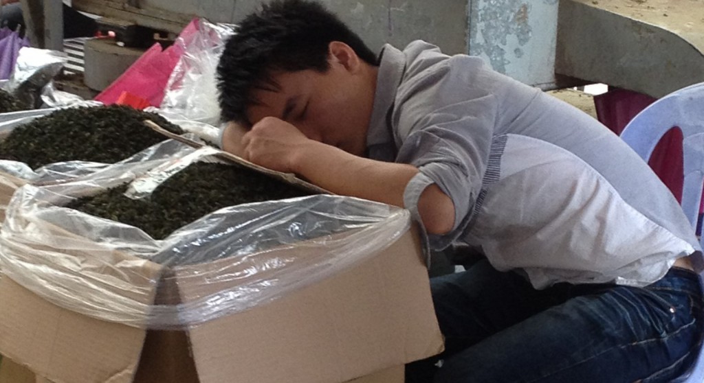 Slapen op tea market